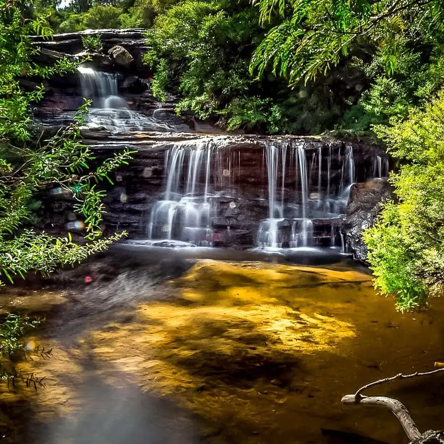 Blue Mountains Walking & Waterfalls Tour