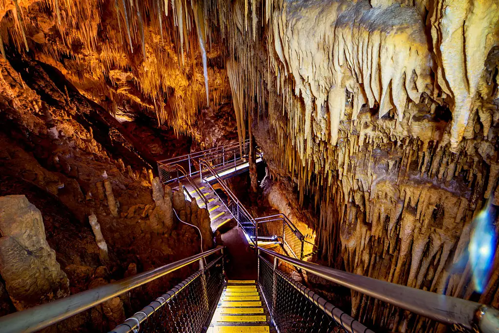 Hastings Caves, Tahune & Huon Valley Tour