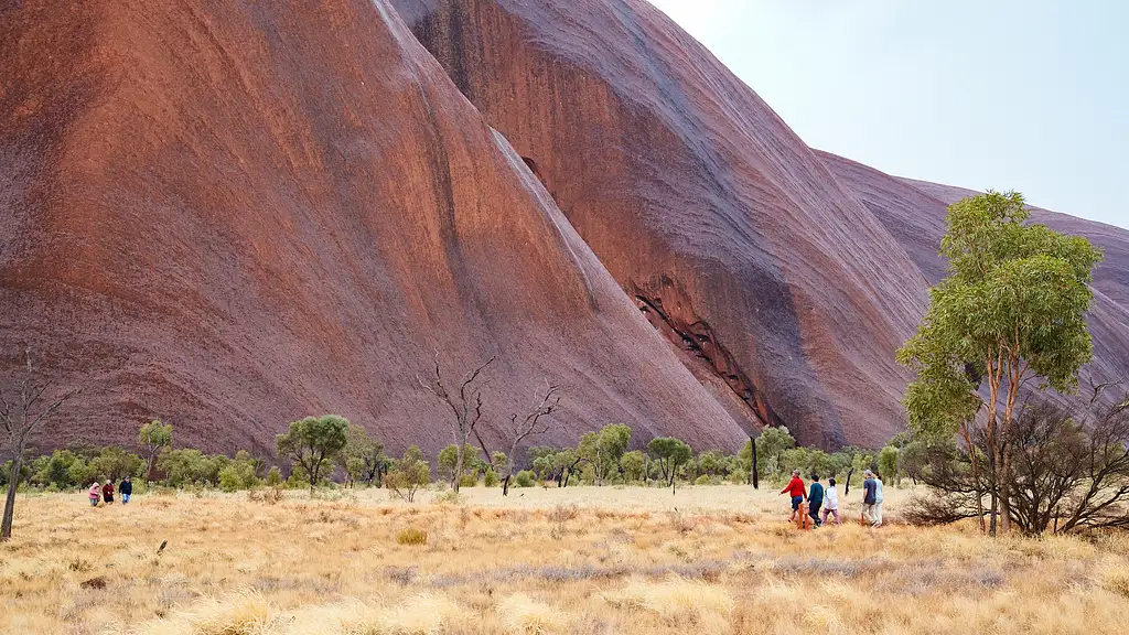 Tjina Sightseeing Pass + Kings Canyon