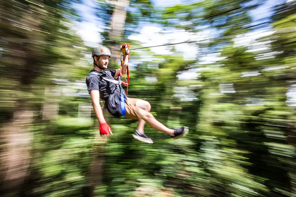 Treetop Challenge High Ropes Course Sunshine Coast