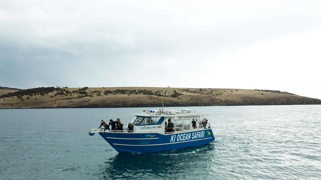 Kangaroo Island 75-Minute Ocean Safari