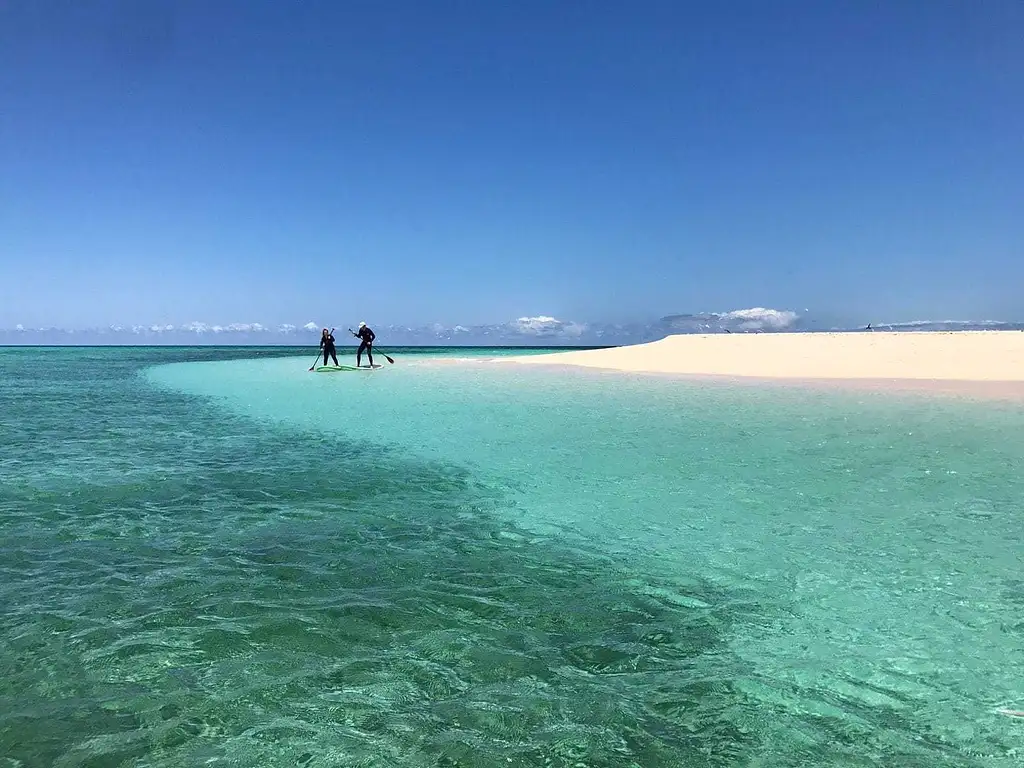 Epic Reef and Island Tour