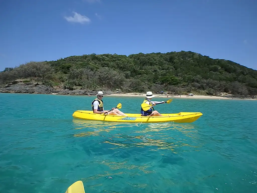 Dolphin View Kayak + Great Beach Drive Adventure - Rainbow Beach Tour