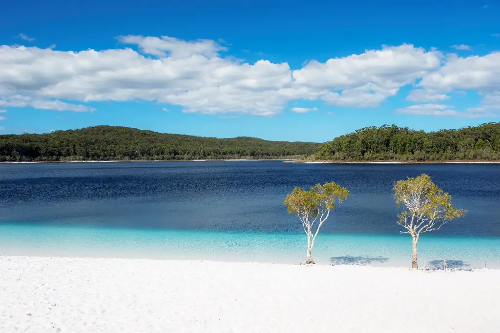 2 Day K'gari (Fraser Island) Tour | Resort Stay | From Rainbow Beach