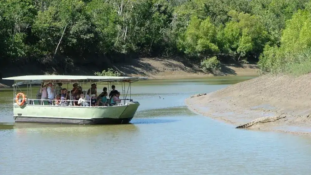 Whitsunday Crocodile Safari | From Hamilton Island