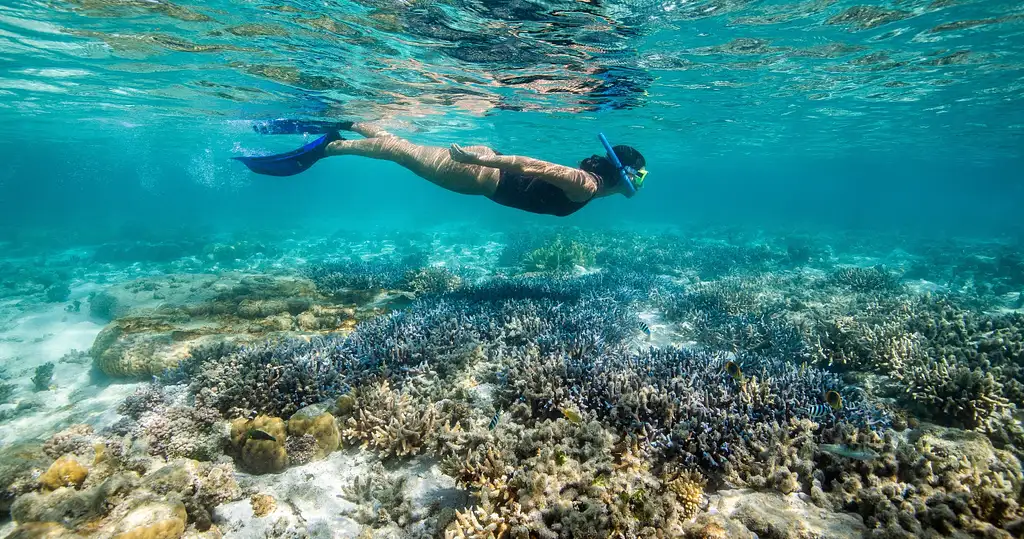 Hook Island Cultural + Snorkelling on Lady Enid | From Airlie Beach