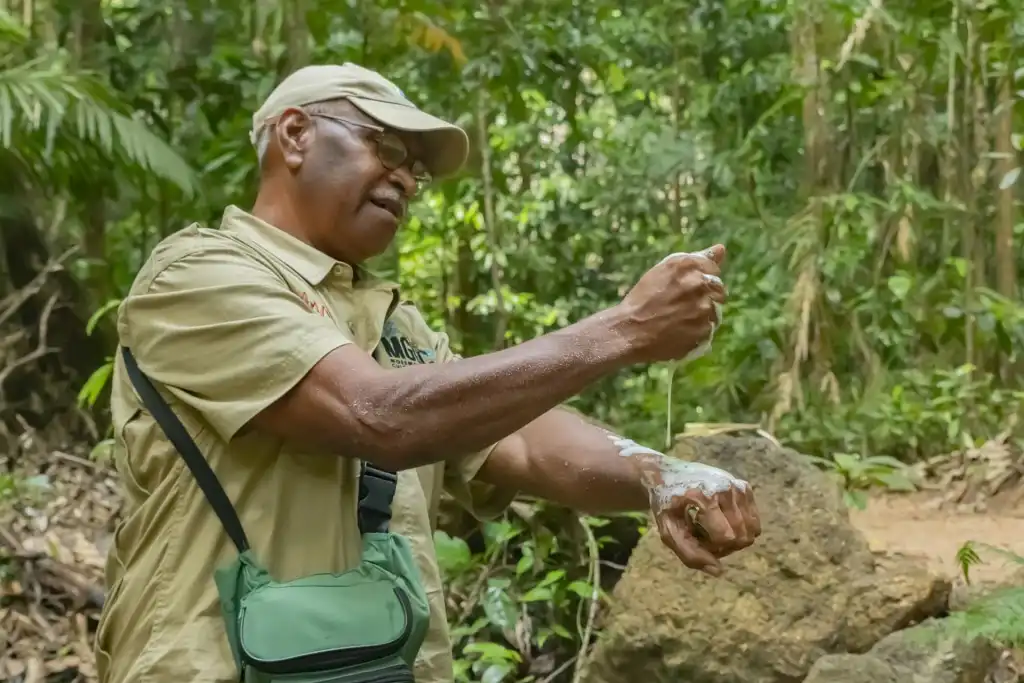 Ngadiku Dreamtime Walk | Mossman Gorge + Daintree Cruise