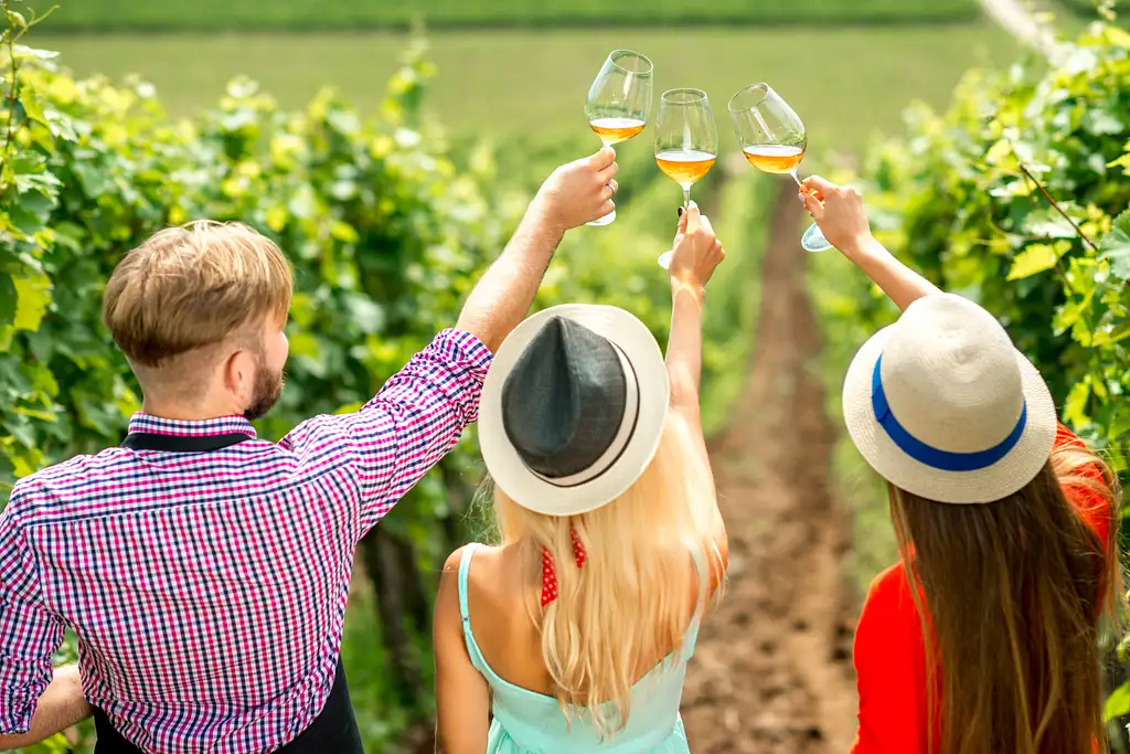 Mount Tamborine Wine Tour & Gourmet Lunch with Hop on Hop off bus | Gold Coast