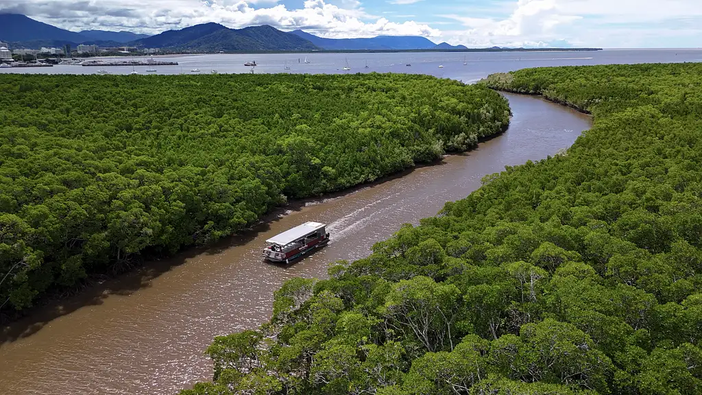 Small Group Indigenous Cultural Experience & River Cruise - Cairns