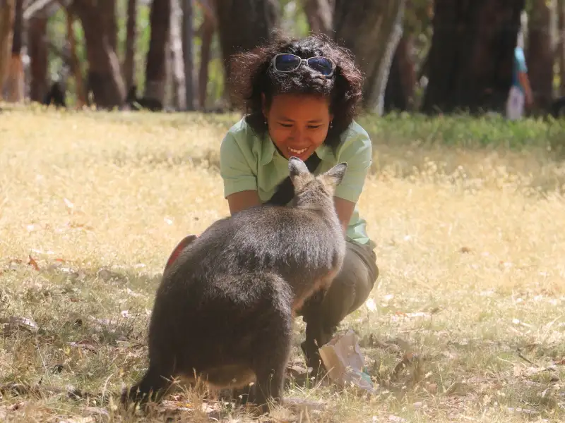 Cleland Wildlife Park Experience