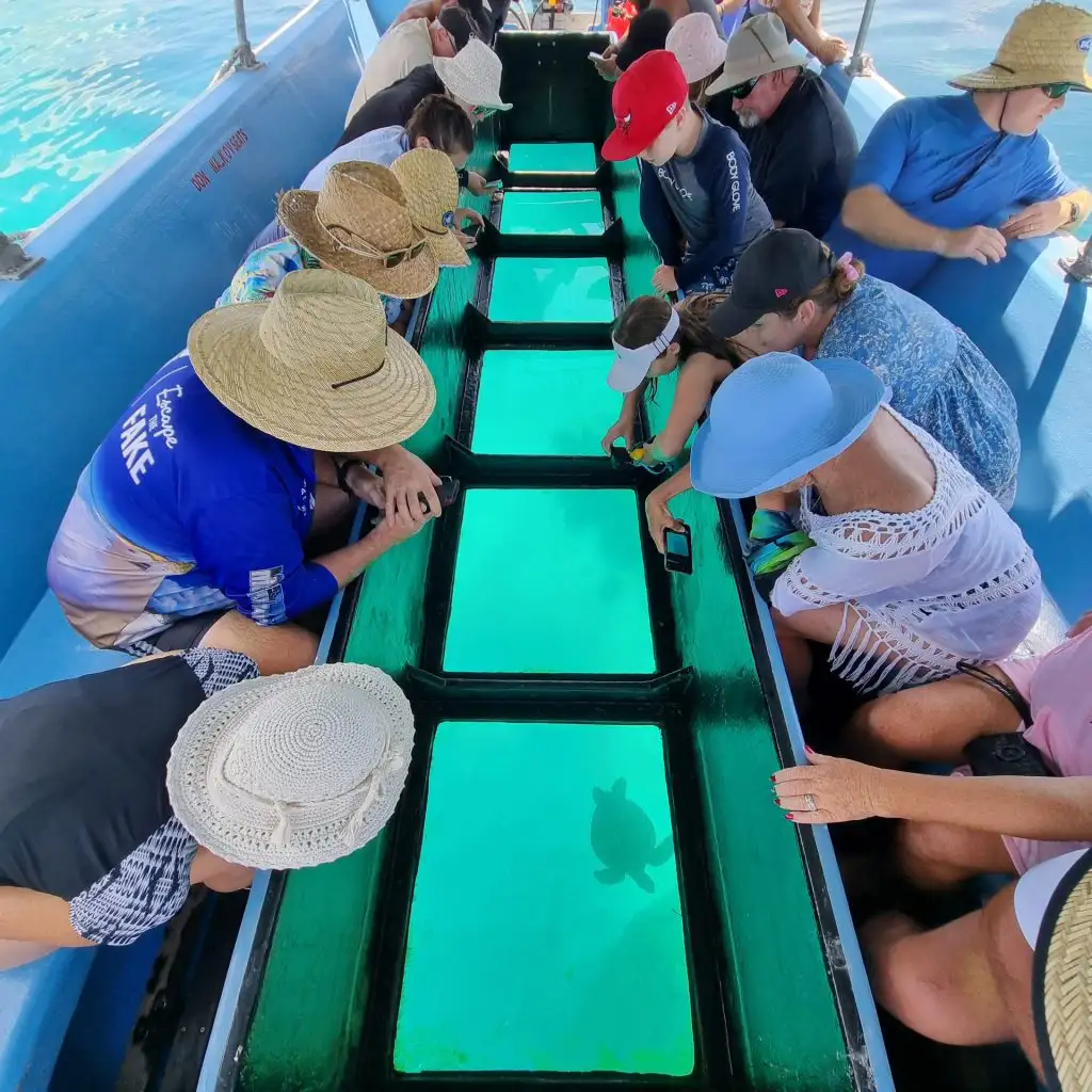 Day Tour to Lady Musgrave Island - Departing 1770