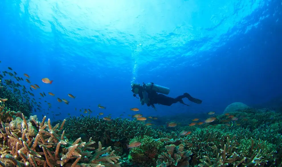 5 Day Learn to Dive - Open Water Cert | Awesome Adventures Fiji