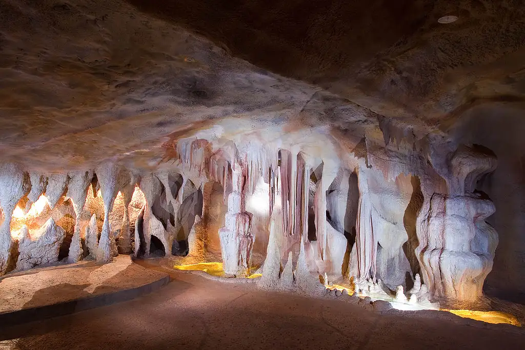 Springbrook & Tamborine Rainforest Day Tour