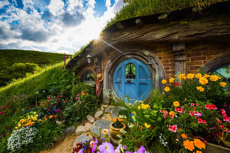 Hobbiton & Waitomo Caves Small Group Tour from Auckland