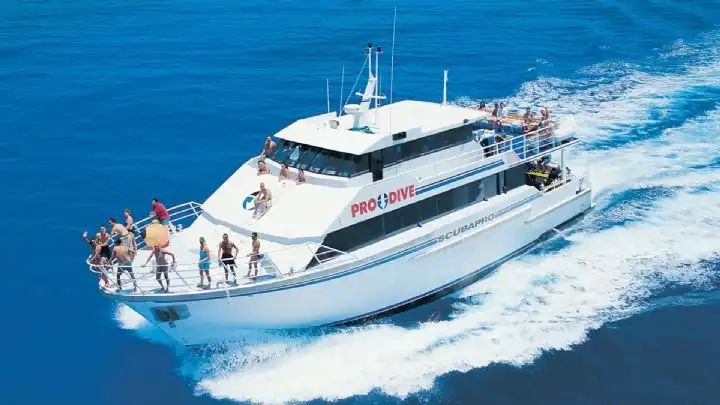 Cairns 5 Day Learn To Dive Course + 2 Night Liveaboard Experience | Great Barrier Reef