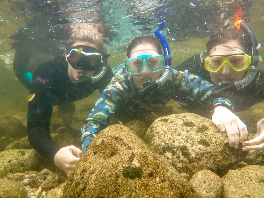 Mossman Gorge Adventure Day with River Drift Snorkelling