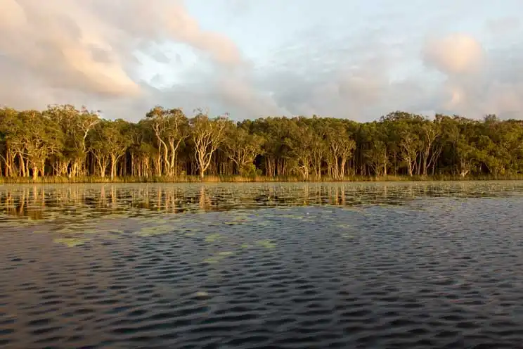 Noosa Everglades Explorer Canoe Trip