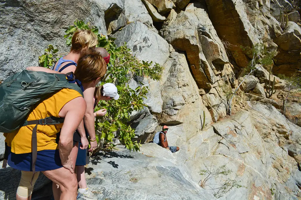 Hiking Tour Of Fox Canyon - Cabo San Lucas