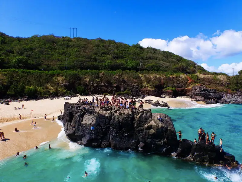 North Shore & Oahu Sightseeing Tour