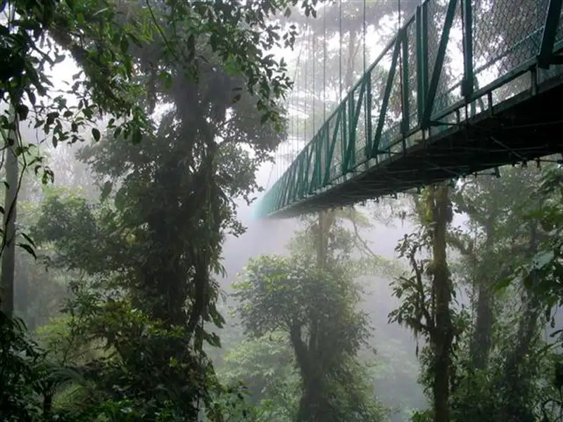 Monteverde Cloud Forest Tour from San José