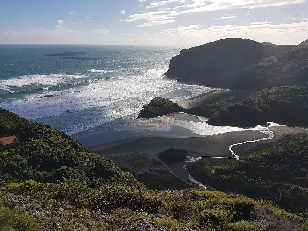 Black Sand Adventure Day Trip from Auckland