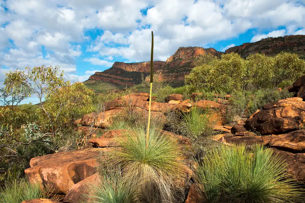 6 Day Eyre Peninsula and Flinders Ranges Adventure Tour