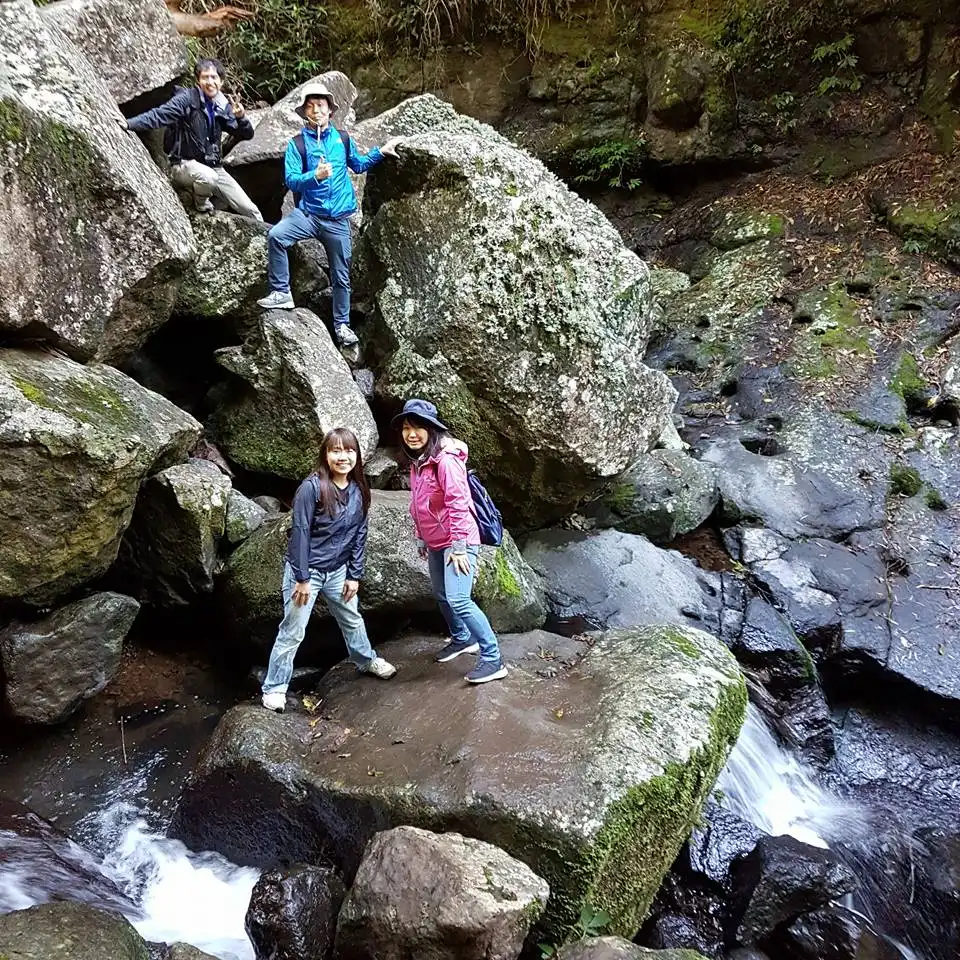 Rainforests of Lamington Wilderness Tour from the Gold Coast