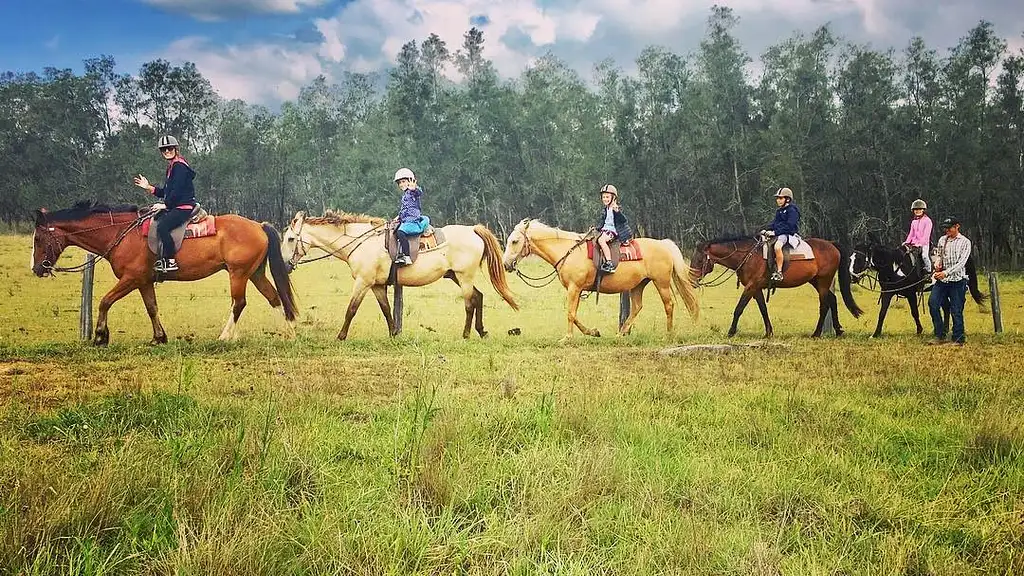 Hunter Valley Bushland Trail Horse Ride