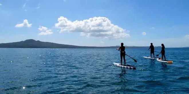 One Hour Stand Up Paddle Board Rental