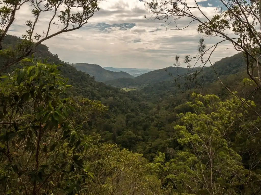 Maleny & Kondalilla Falls Tour