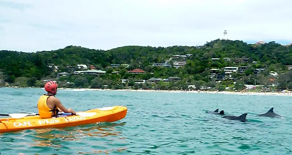 Dolphin Watching and Kayaking Experience from Byron Bay