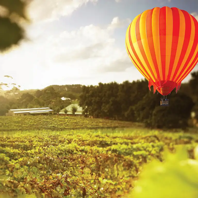 Gold Coast Classic Ballooning & Vineyard Champagne Breakfast with transfers