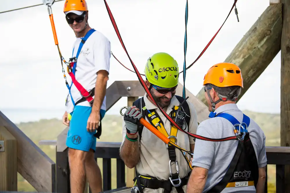 Ziplining & Forest Walk Waiheke Island