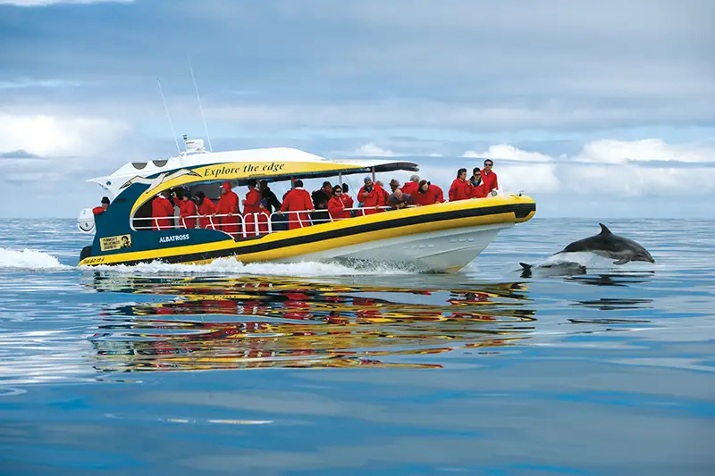 Bruny Island Full Day Tour From Hobart | Bruny Island Cruise