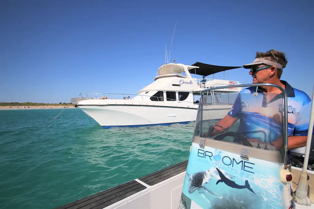 Whale Watching & Sunset Cruise | Broome