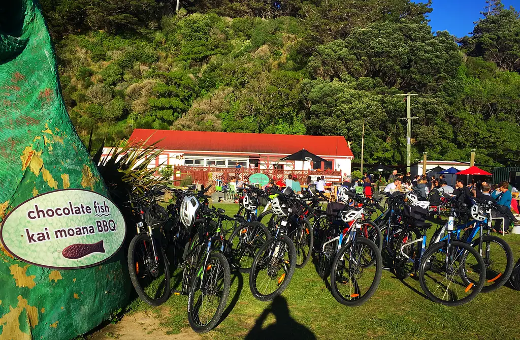 Half Day Wellington & Surrounds E-bike Tour