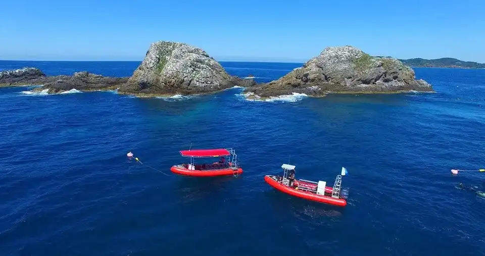 Whale watching Byron Bay - Small Group Trip