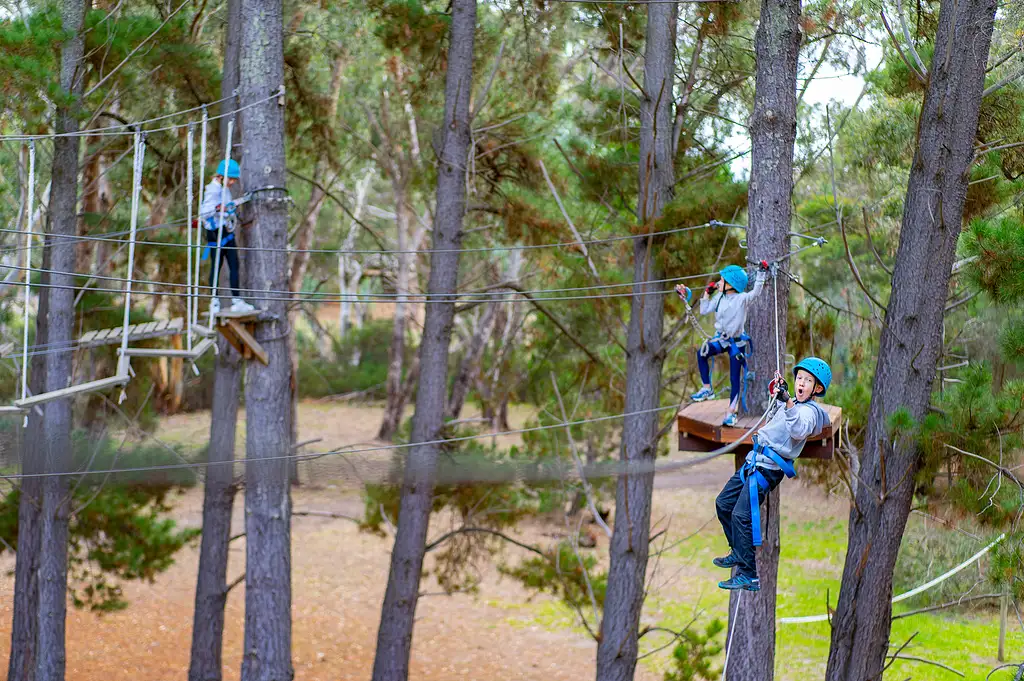 Rock Climb & Ropes Course - Southern Adventure Hub