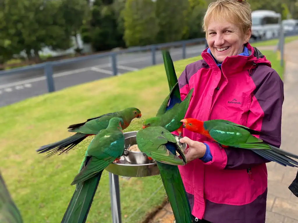 Rainforests of Lamington Wilderness Tour from the Gold Coast