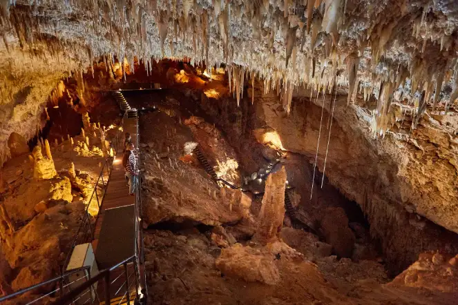 Jewel Cave Fully Guided Tour