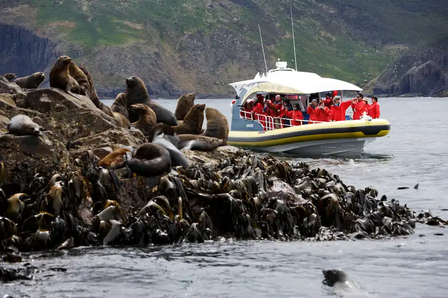 Bruny Island Full Day Tour From Hobart | Bruny Island Cruise