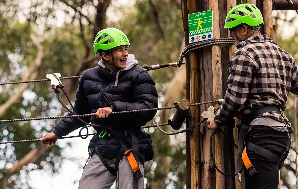 Lorne Super Circuit Treetop Adventure