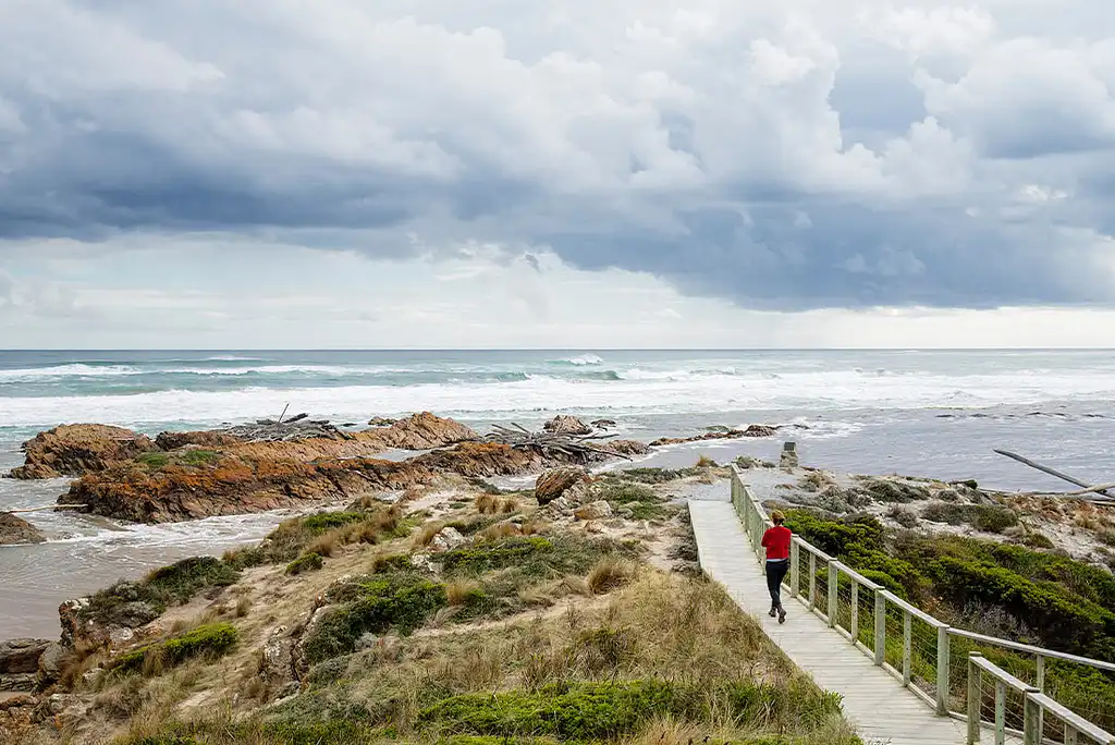 6 Day Best of Tasmania's Tarkine & Cradle Mountain | Intrepid Tour