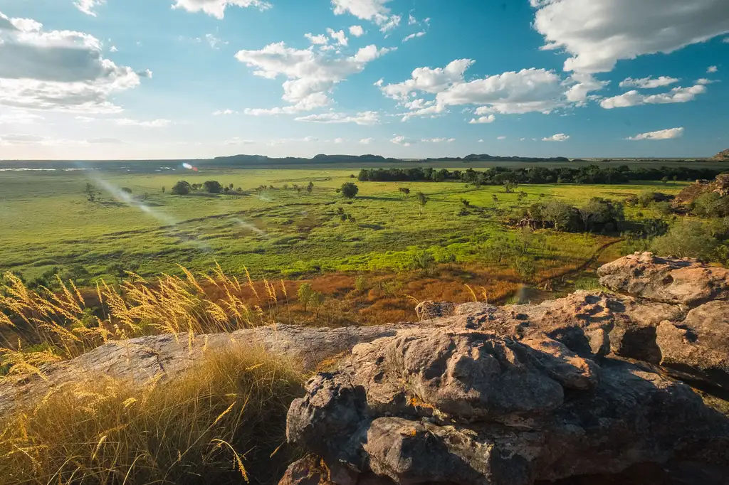 Kakadu Cultural Experience | Includes Flight, Cruise, Lunch & More!