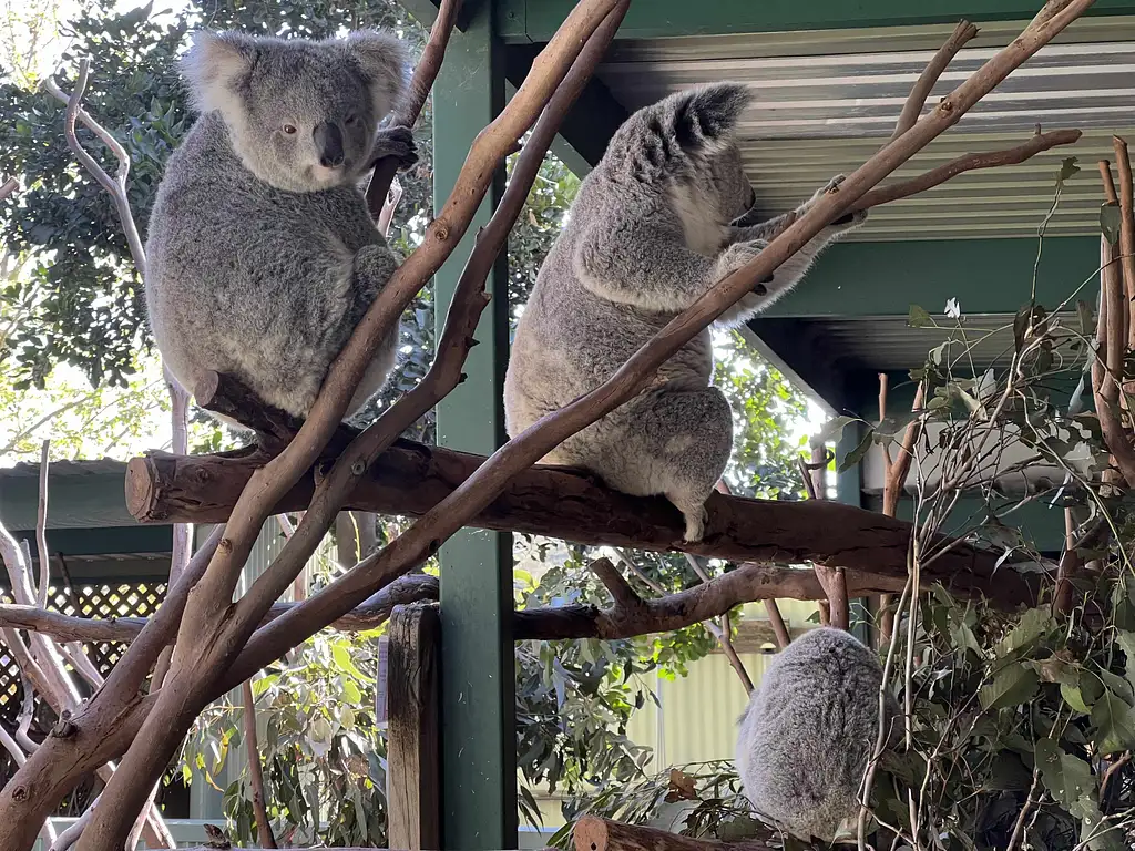 Small Group Blue Mountains Day Trip from Sydney with Scenic World - All Inclusive