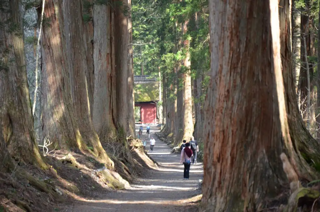 Togakushi Nature Beauty, Shintoism, And Ninja Experience