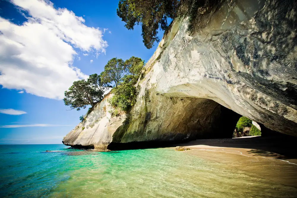 Coromandel Peninsula Highlights | Small Group Tour from Auckland