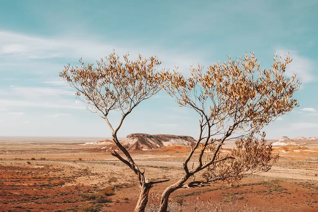 8 Day Adelaide to Uluru Tour