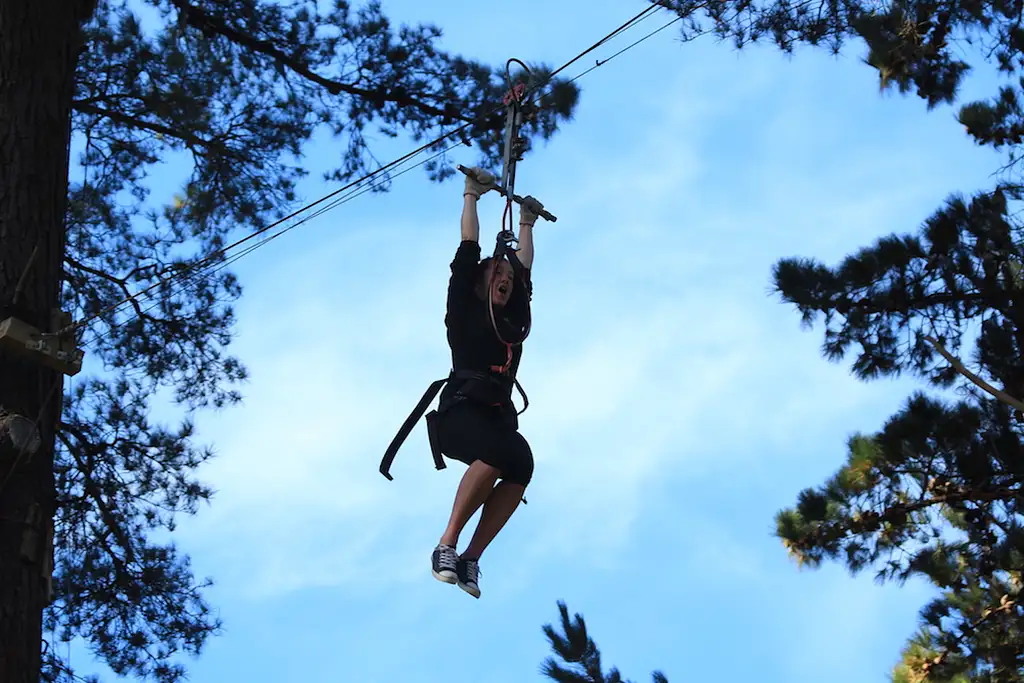 Adrenalin Forest Aerial Obstacle Course