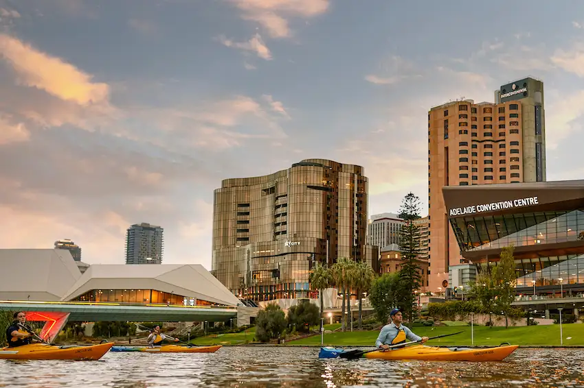 Adelaide City Guided Kayak Tour